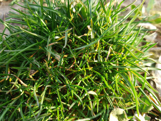 NATURE PHOTOGRAPHY SO PERFECT PHOTO MT2