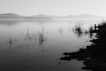 Shore of Trasimeno lake (Umbria, Italy), with plants reflecting on perfectly still water