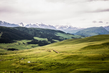 Fototapeta premium Endless steppe in the valley at the foot of the mountains, bathed in bright sunlight. Amazing view on green mountains. mountain, covered with green trees, under a blue sky with clouds.