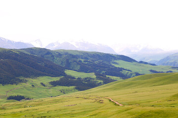 Endless steppe in the valley at the foot of the mountains, bathed in bright sunlight. Amazing view...
