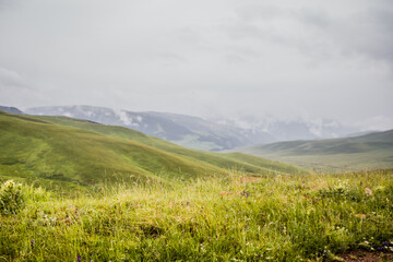 Fototapeta premium Endless steppe in the valley at the foot of the mountains, bathed in bright sunlight. Amazing view on green mountains. mountain, covered with green trees, under a blue sky with clouds.