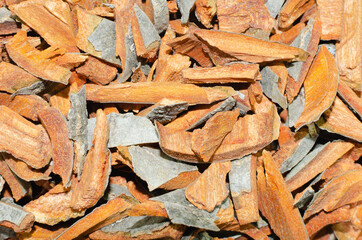 Medicinal alder bark - for the treatment of the digestive tract, colds.