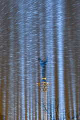 Light beams, which symbolize activist's souls killed during anti-government protests in 2014. Kyiv, Ukraine, 20-02-2021