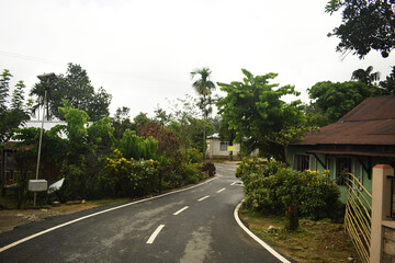 Empty gravel curved asphalt road through green village forest of deciduous trees illuminated by sunbeams in mist. Beautiful summer landscape of clean country path surrounded by woods under cloudy sky.