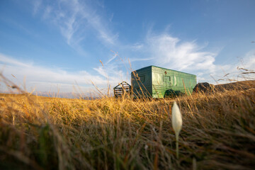 green caravan house in nature