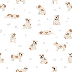 Fototapeta na wymiar English bulldog seamless pattern. Different poses, coat colors set