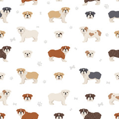 English bulldog seamless pattern. Different poses, coat colors set