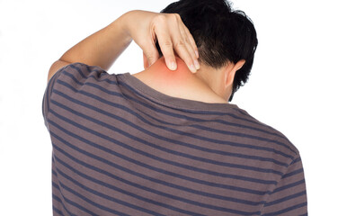 office syndrome neck muscle pain