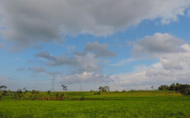 Fototapeta na wymiar farmland against a background of sky and clouds