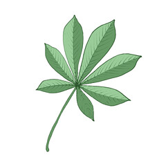 Plant drawing, modern design. Abstract Plant Art design for print, cover, wallpaper. Vector illustration