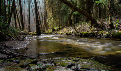 Obraz premium Beautiful landscape photo of the Sahrbach river in sunshine