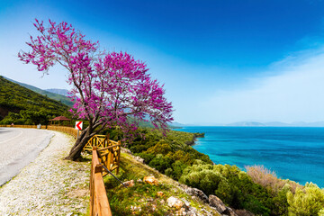 Dilek Peninsula National Park in Kusadasi Town of Turkey.