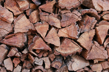 Preparation of firewood for the winter. firewood background, Stacks of firewood in the forest. Pile of firewood.