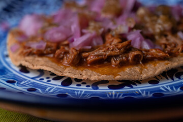 Tost of cochinita pibil, typical Mexican food