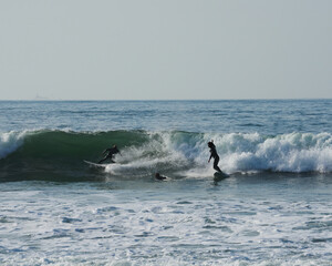 surfing in the sea