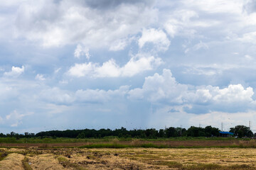 Straw stubble and cloudy during the day.