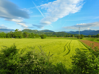 field and blue sky