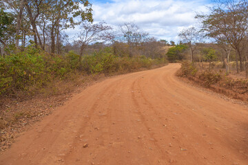 Fototapeta na wymiar Along a sandy dirt road close to Itacambira in Minas Gerais, Brazil