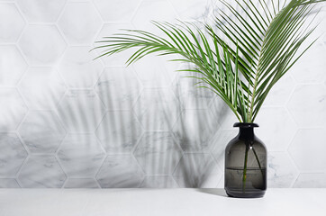 Sunny summer green palm leaves in black vase with shadow on marble tile wall, wood table in...