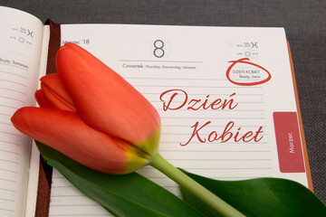 Międzynarodowy Dzień Kobiet. Kartka z kalendarza z tulipanem. 8 marca
