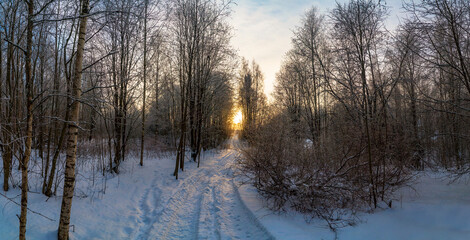 Naklejka na ściany i meble Sunset in a winter forest with a distant road.