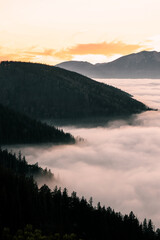 Fog and clouds - 417091000
