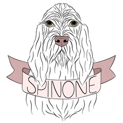 Portrait drawing of an italian spinone dog in a line art technique. Black ink line with pink accent. Illustration in a minimalistic style for print or digital use.