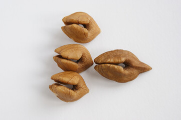Fototapeta na wymiar heartnuts. heart shaped nut. The heartnut is a native of Japan