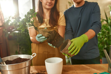 Cheerful young caucasian couple transplanting plant
