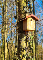 wooden bird house or nest box attached to a tree trunk in the  nature cemetery. Animal welfare and bird protection concept.