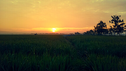 the sun rises from the east