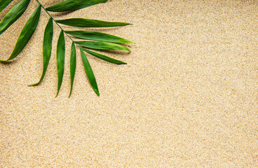 Travel holiday background