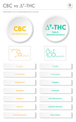 CBC vs ∆9-THC, Cannabichromene vs Delta 9 Tetrahydrocannabinol vertical business infographic illustration about cannabis as herbal alternative medicine and chemical therapy, healthcare medical vector.