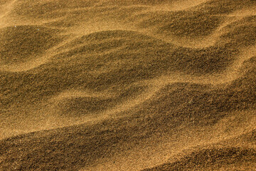 Fototapeta na wymiar texture Sand on the beach as background and texture