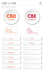 CBD vs CBE, Cannabidiol vs Cannabielsoin vertical business infographic illustration about cannabis as herbal alternative medicine and chemical therapy, healthcare and medical vector.