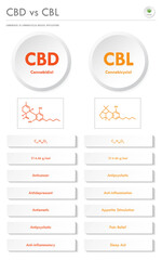 CBD vs CBL, Cannabidiol vs Cannabicyclol vertical business infographic illustration about cannabis as herbal alternative medicine and chemical therapy, healthcare and medical vector.