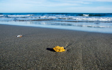 Una pequeña piedra tallada por las olas en la arena de una playa del mediterráneo andaluz