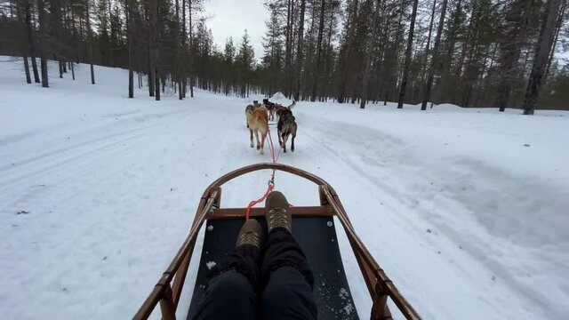 Passenger on a sled pulled by huskies on a path through deep snow in Lapland, point of view