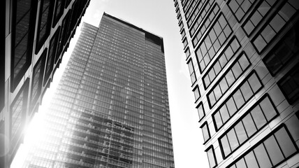 Bottom view of modern skyscrapers in business district against sky. Looking up at business buildings in downtown. Rising sun on the horizon. Black and white.