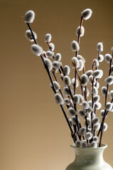 a vase with a willow on a table. Easter, spring back © Anton