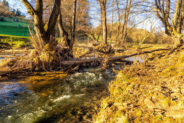 Abendsonne am Mehrbach im Westerwald