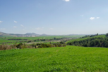 Fototapeta premium Green field landscape