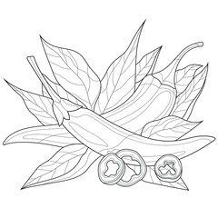 Chilli.Coloring book antistress for children and adults. Illustration isolated on white background.Zen-tangle style. Hand draw