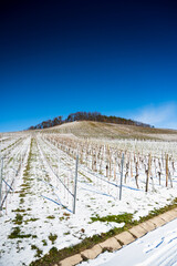 A beautiful shot of a snowy vineyard with a forest on a hill and a blue cloudy sky in the background.