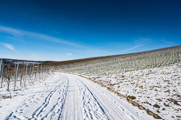 Fototapeta na wymiar A beautiful shot of a snowy vineyard road with a blue sky in the background