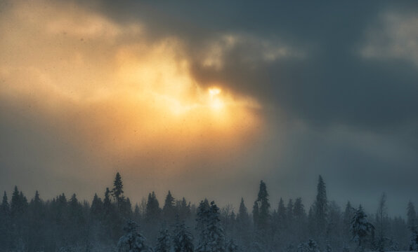 rays of the sun breaks through the snow cloud over the forest. skyscape