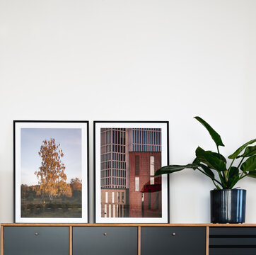 Two photo prints in black frames next to potted green plant on modern sideboard in contemporary home interior