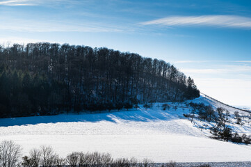 A beautiful shot of a snowy vineyard with a forest on a hill and a blue cloudy sky in the background.