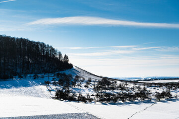 Fototapeta na wymiar A beautiful shot of a snowy vineyard with a forest on a hill and a blue cloudy sky in the background.