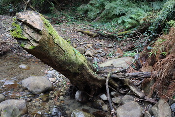 高知県奈半利町　琵琶ヶ滝